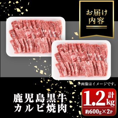 A4・A5等級鹿児島黒牛カルビ焼肉用(計約1.2kg・約600g×2)　B01032