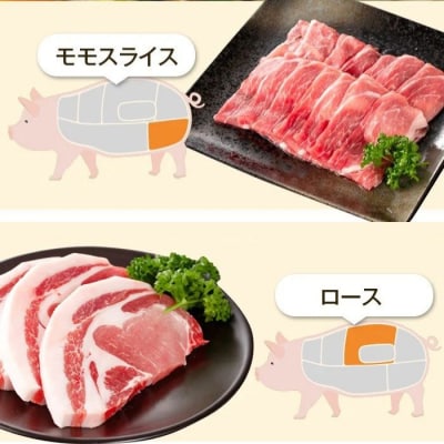 特選黒豚セット(約2.4kg)　C02045