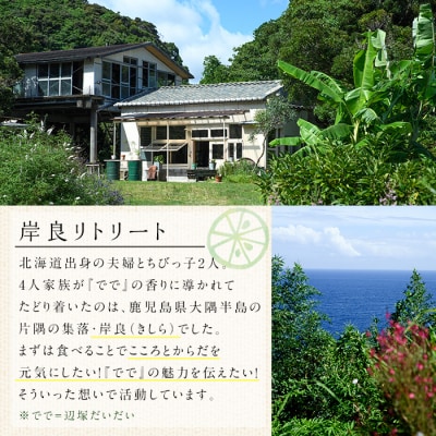 「ででこしょう」&「ででスコ」　P60001