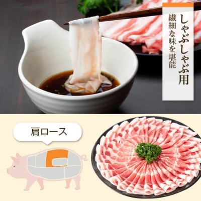 特選黒豚　肩・とんかつセット!黒豚餃子(12個入)×1P付き　A02043