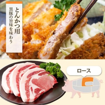 特選黒豚　肩・とんかつセット!黒豚餃子(12個入)×1P付き　A02043