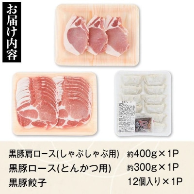 特選黒豚　肩・とんかつセット!黒豚餃子(12個入)×1P付き　A02043