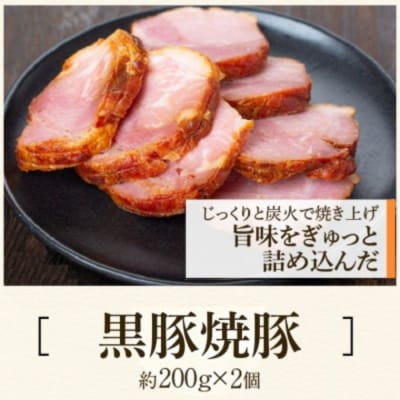 黒豚焼豚(2個)&黒豚餃子(12個入×5パック)セット　A02048