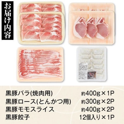 特選黒豚バラエティセット(約1.8kg)　B02076
