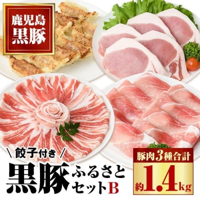 ふるさと黒豚セットB!黒豚餃子(12個入×3P)付き　B02079