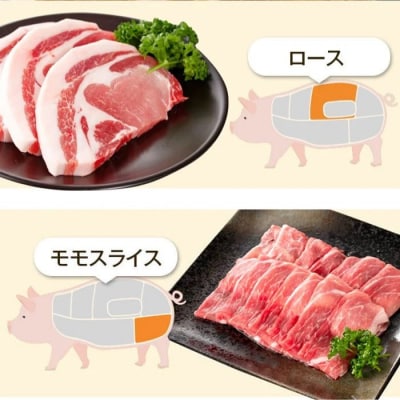 ふるさと黒豚セットB!黒豚餃子(12個入×3P)付き　B02079