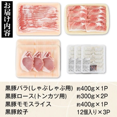ふるさと黒豚セットB!黒豚餃子(12個入×3P)付き　B02079