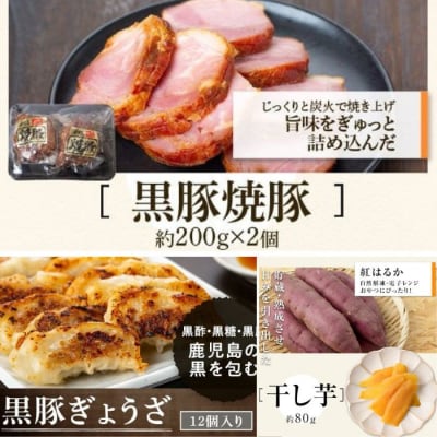 ふるさと黒豚セットA+黒豚焼豚2個　B02097