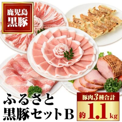 ふるさと黒豚セットB+黒豚焼豚2個　B02098