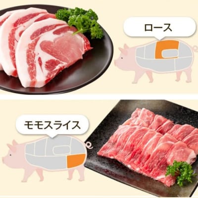 ふるさと黒豚セットB+黒豚焼豚2個　B02098