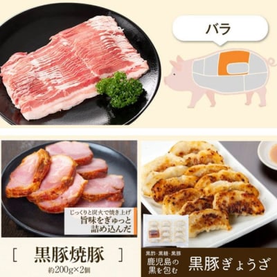 ふるさと黒豚セットB+黒豚焼豚2個　B02098