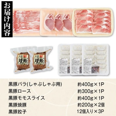 ふるさと黒豚セットB+黒豚焼豚2個　B02098