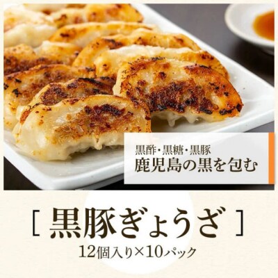 ふるさと2選B(焼豚 約200g×4個、 餃子 12個入×10パック)　B02104