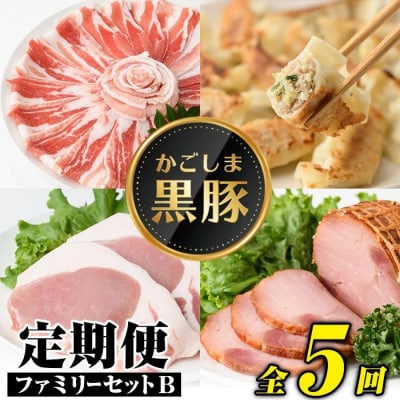 <定期便・全5回>『かごしま黒豚ふるさと定期便』ファミリーセットB　D02004