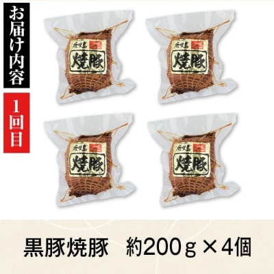 <定期便・全5回>『かごしま黒豚ふるさと定期便』ファミリーセットB　D02004