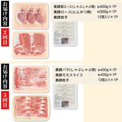 <定期便・全5回>『かごしま黒豚ふるさと定期便』ファミリーセットB　D02004