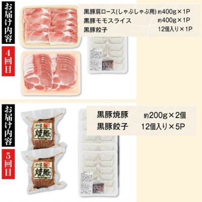 <定期便・全5回>『かごしま黒豚ふるさと定期便』ファミリーセットB　D02004