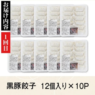 <定期便・全5回>『かごしま黒豚ふるさと定期便』ファミリーセットC　D02005