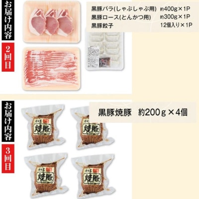 <定期便・全5回>『かごしま黒豚ふるさと定期便』ファミリーセットC　D02005