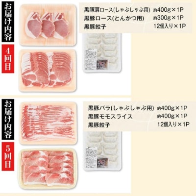 <定期便・全5回>『かごしま黒豚ふるさと定期便』ファミリーセットC　D02005