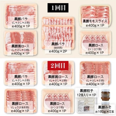 <定期便・全6回(隔月)>極上セットF!　J02002