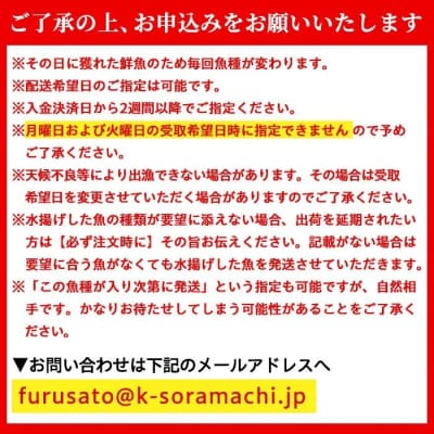 漁師厳選!ロコフィッシュ(地魚) 鮮魚 ボックス(約2～3kg)【発泡スチロール包装】　A78005