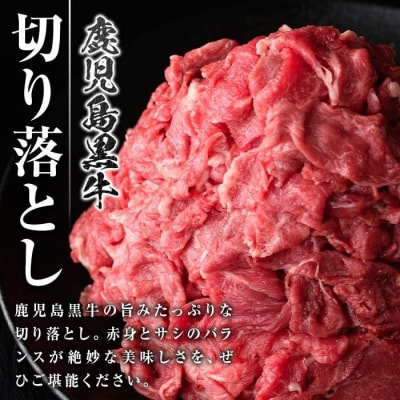 <定期便・全6回・隔月>鹿児島黒牛 切り落とし(計約6kg・約500g×2P×6回)　E01011