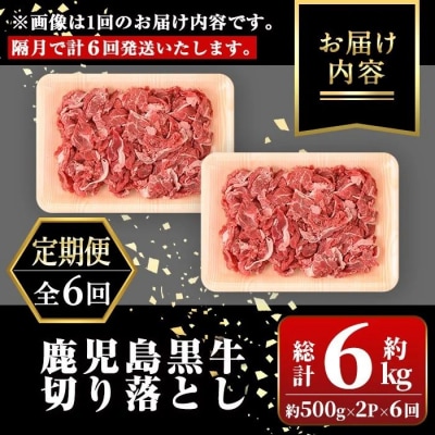 <定期便・全6回・隔月>鹿児島黒牛 切り落とし(計約6kg・約500g×2P×6回)　E01011