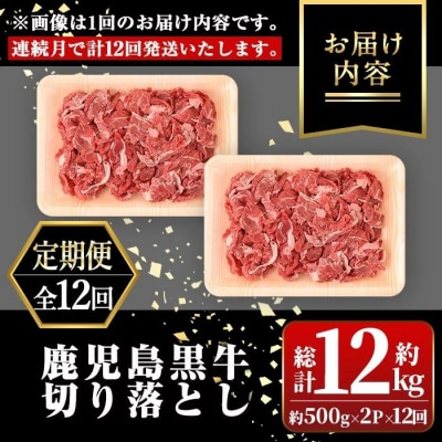 <定期便・全12回>鹿児島黒牛 切り落とし(計約12kg・約500g×2P×12回)　F01001