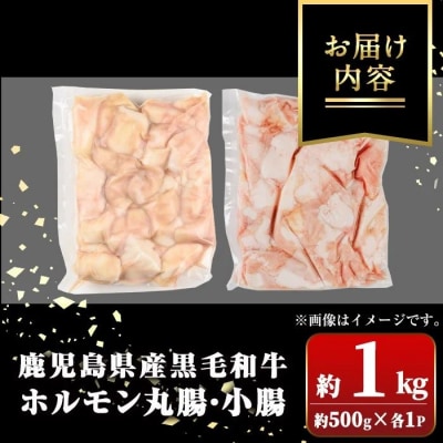 鹿児島県産黒毛和牛 ホルモン 小腸 丸腸 セット (計約1kg・約500g×各1P)　A01038