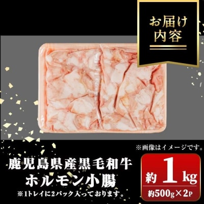 鹿児島県産黒毛和牛 ホルモン 小腸 (計約1kg・約500g×2P)　A01039