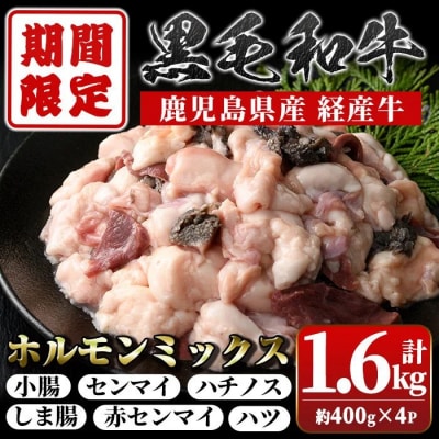 ���������Y���јa��<�o�Y��>�z�������~�b�N�X(�v��1.6kg�E��400g×4P)�@A01032