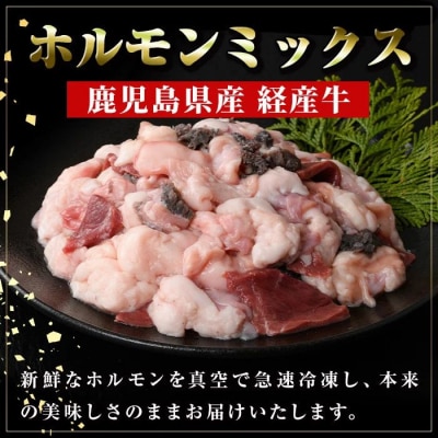 鹿児島県産黒毛和牛<経産牛>ホルモンミックス(計約1.6kg・約400g×4P)　A01032