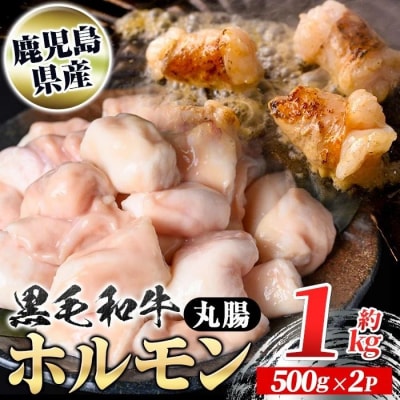 鹿児島県産黒毛和牛 ホルモン 丸腸 (計約1kg・約500g×2P)　A01037
