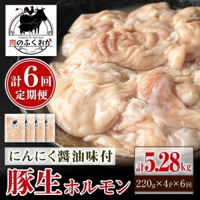 <定期便・全6回>豚生ホルモンにんにく醤油味付(計5.28kg・220g×4P×6回)　C79011