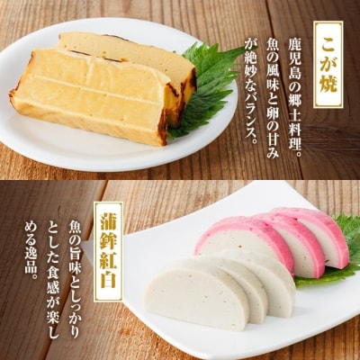 《真空パック》老舗の味!さつま揚げ・かまぼこセットH(5種)　A10006