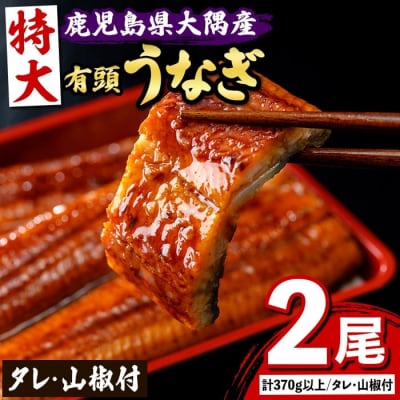 特大うなぎ蒲焼(有頭)(2尾・計370g以上、タレ、山椒付) 　B57005