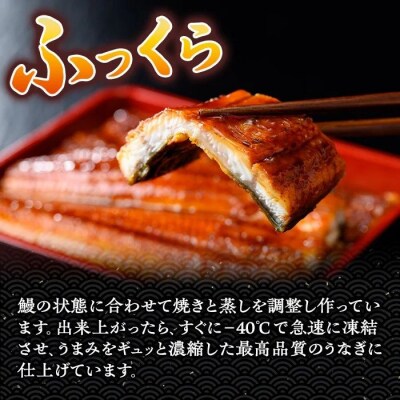特大うなぎ蒲焼(有頭)(3尾・計555g以上、タレ、山椒付) 　C57006