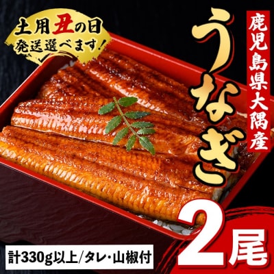 《土用の丑の日までに発送!》うなぎ蒲焼・大(有頭)(2尾・計330g以上、タレ、山椒付　A57005