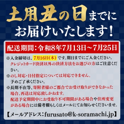 《土用の丑の日までに発送!》うなぎ蒲焼・大(有頭)(2尾・計330g以上、タレ、山椒付　A57005