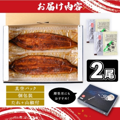 《土用の丑の日までに発送!》うなぎ蒲焼・大(有頭)(2尾・計330g以上、タレ、山椒付　A57005