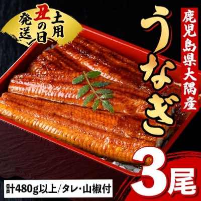 《土用の丑の日までに発送!》うなぎ蒲焼・大(有頭)(3尾・計480g以上、タレ、山椒付　B57007