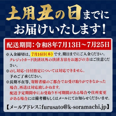 《土用の丑の日までに発送!》うなぎ蒲焼・大(有頭)(3尾・計480g以上、タレ、山椒付　B57007
