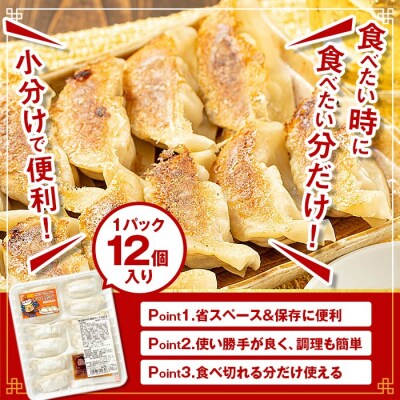 鹿児島県 肝付町産 黒豚 餃子 ギョーザ(計36個・12個入 3パック)【財宝】　P43009