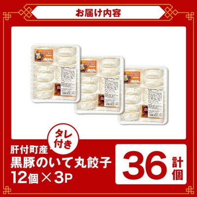 鹿児島県 肝付町産 黒豚 餃子 ギョーザ(計36個・12個入 3パック)【財宝】　P43009