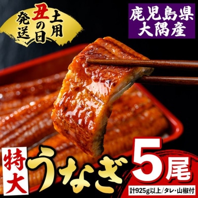 《土用の丑の日までに発送》特大うなぎ蒲焼(有頭)(5尾・計925g以上、タレ、山椒付)　C57004