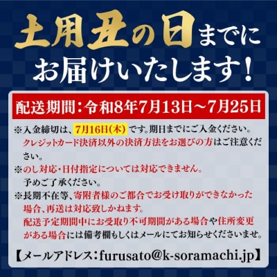 《土用の丑の日までに発送》特大うなぎ蒲焼(有頭)(5尾・計925g以上、タレ、山椒付)　C57004