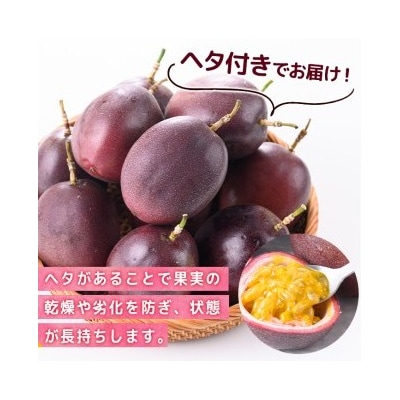 《先行受付》鹿児島県産パッションフルーツ ロケットスター(1個90g以上・約1.5kg)A99001
