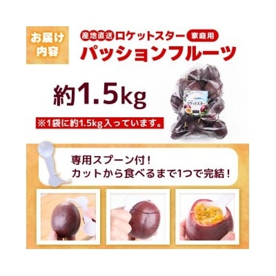 《先行受付》鹿児島県産パッションフルーツ ロケットスター(1個90g以上・約1.5kg)A99001