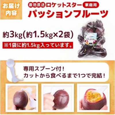 《先行受付》鹿児島県産パッションフルーツ ロケットスター(1個90g以上・約3.0kg)B99001